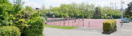 Bild4.jpg